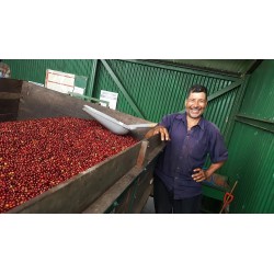 Café connaisseur du Costa Rica, la Abeja