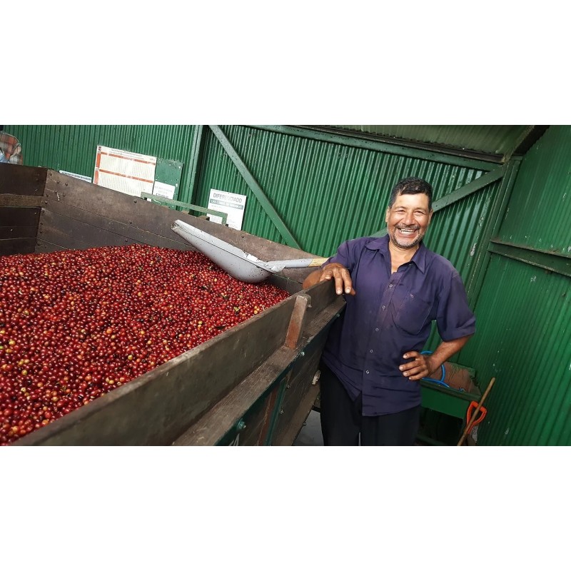 Café connaisseur du Costa Rica, la Abeja