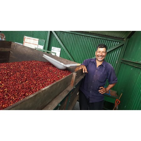 Café connaisseur du Costa Rica, la Abeja